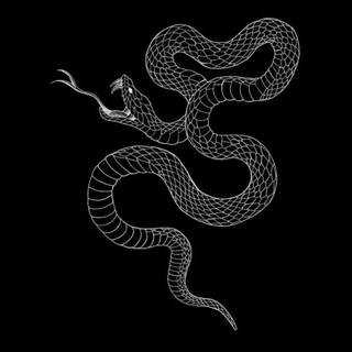 iPhone cool snake wallpaper