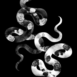 iPhone cool snake wallpaper