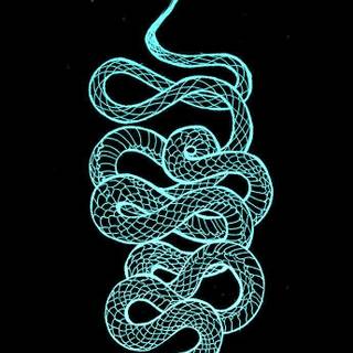 iPhone cool snake wallpaper