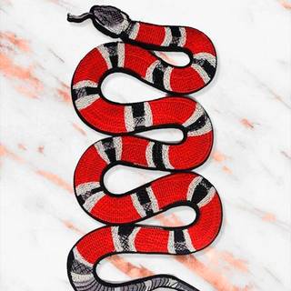 iPhone cool snake wallpaper