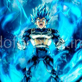 Vegeta computer wallpaper