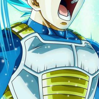 SSJB Vegeta wallpaper