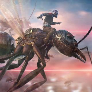Ant 4k wallpaper