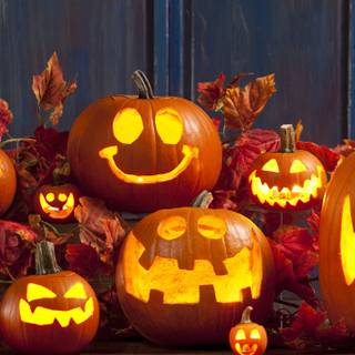 Pumpkin 4k wallpaper