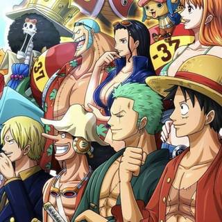 Zoro phone 4k wallpaper