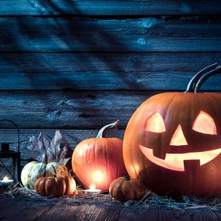 Pumpkin 4k wallpaper