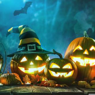 Pumpkin 4k wallpaper