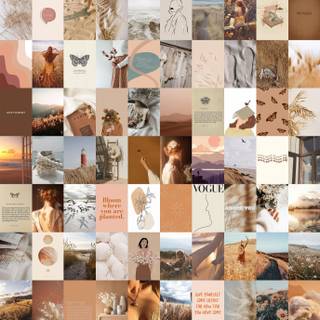 Summer beige collage wallpaper