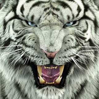 Phone animals wallpaper