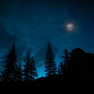 Night summer moon wallpaper