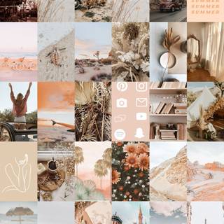 Summer beige collage wallpaper