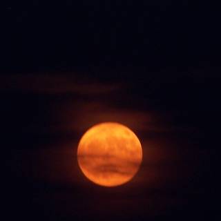 Night summer moon wallpaper