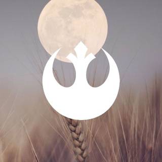 Star Wars autumn wallpaper