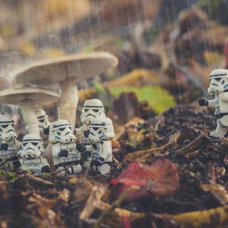 Star Wars autumn wallpaper