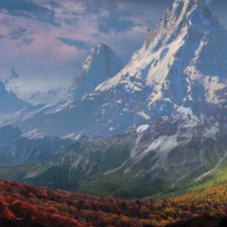 Star Wars autumn wallpaper