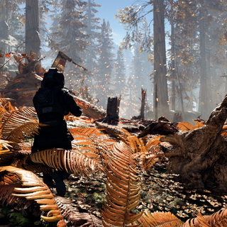 Star Wars autumn wallpaper