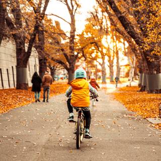 Cycling autumn wallpaper