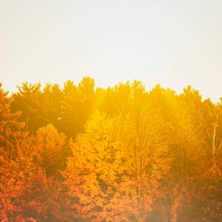 Autumn dual monitor 4k wallpaper