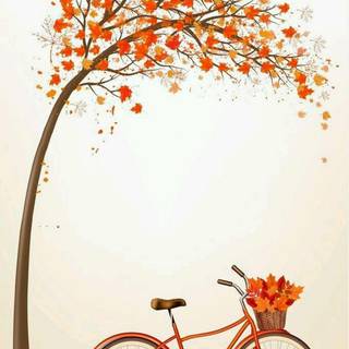 Cycling autumn wallpaper