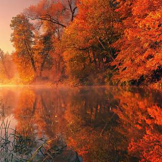 Fall Dual Monitor wallpaper