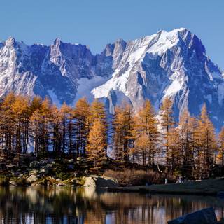 Autumn dual monitor 4k wallpaper