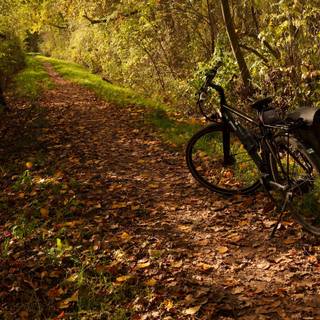 Cycling autumn wallpaper
