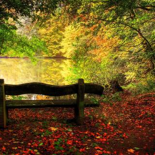 Autumn dual monitor 4k wallpaper