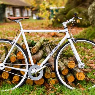 Cycling autumn wallpaper
