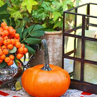 Autumn candle desktop wallpaper