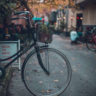 Cycling autumn wallpaper