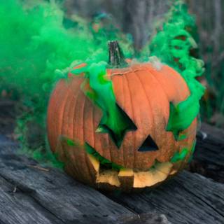 Pumpkin 4k wallpaper