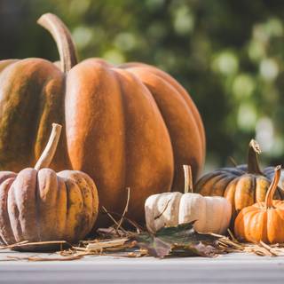 Pumpkin 4k wallpaper