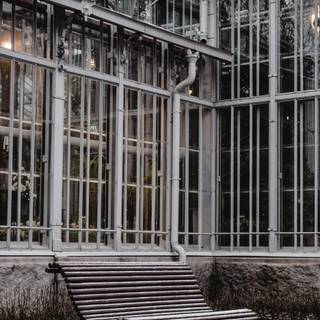 Winter garden wallpaper