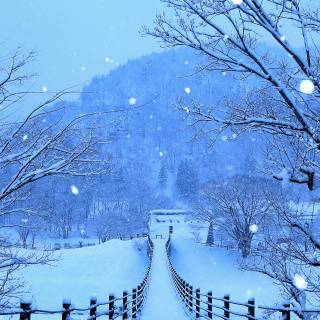 Tokyo winter wallpaper