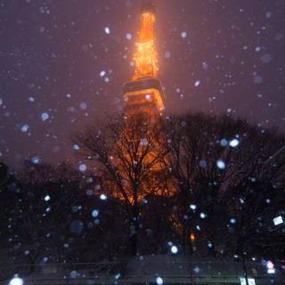 Tokyo winter wallpaper