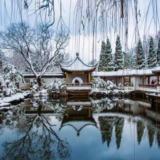 Winter garden wallpaper