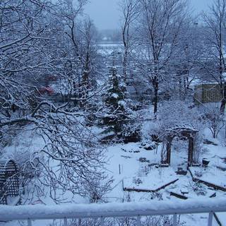 Winter garden wallpaper