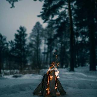 Winter camp wallpaper