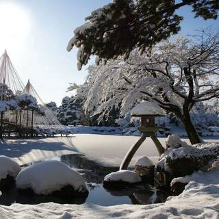 Winter garden wallpaper