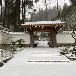 Winter garden wallpaper