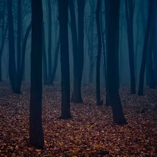 PC autumn dark wallpaper