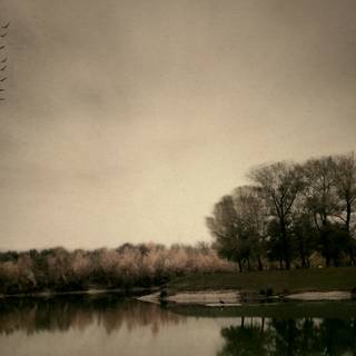 PC autumn dark wallpaper