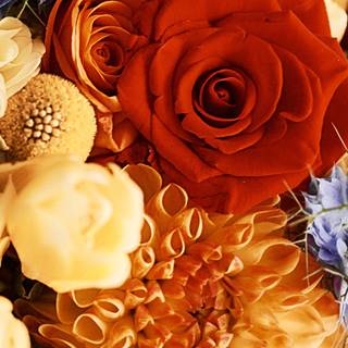 Autumn boquet wallpaper