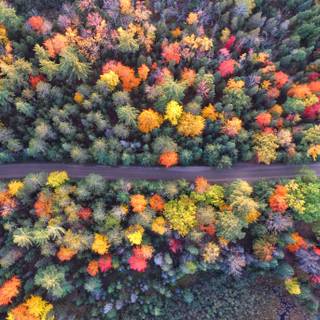 Autumn drone wallpaper