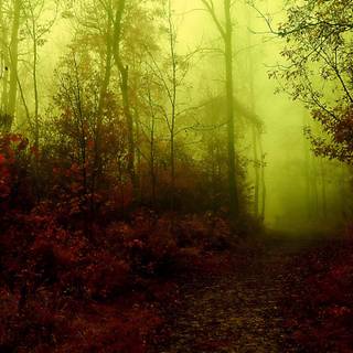 PC autumn dark wallpaper