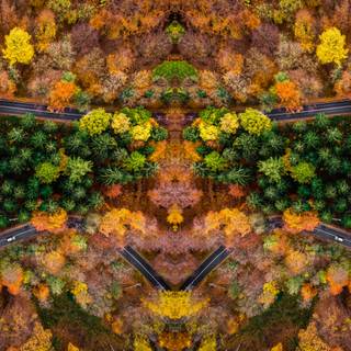 Autumn drone wallpaper