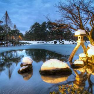 Winter garden wallpaper