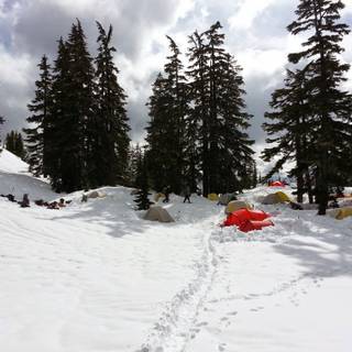 Winter camp wallpaper