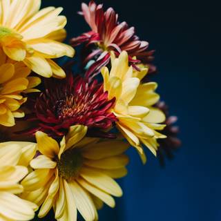 Autumn boquet wallpaper