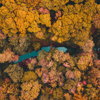 Autumn drone wallpaper